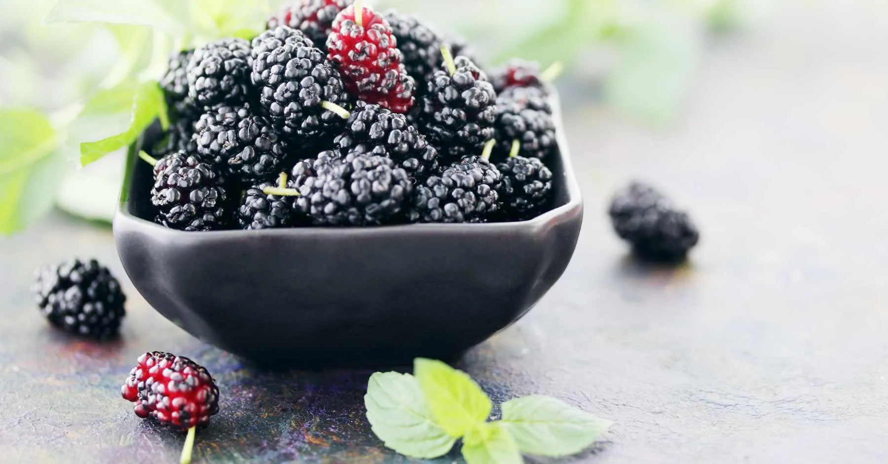 Unlock the Radiance: Discover the Transformative Benefits of Mulberry Skincare