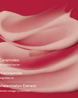 Moisture Cocoon Creme - Hydrating & Glow Moisturizer with Niacinamide