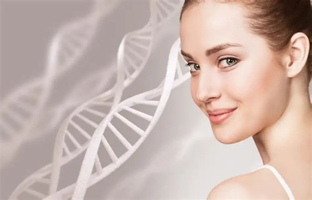 Illustration showing free radicals attacking collagen fibers, causing a loss of skin elasticity and premature aging. 