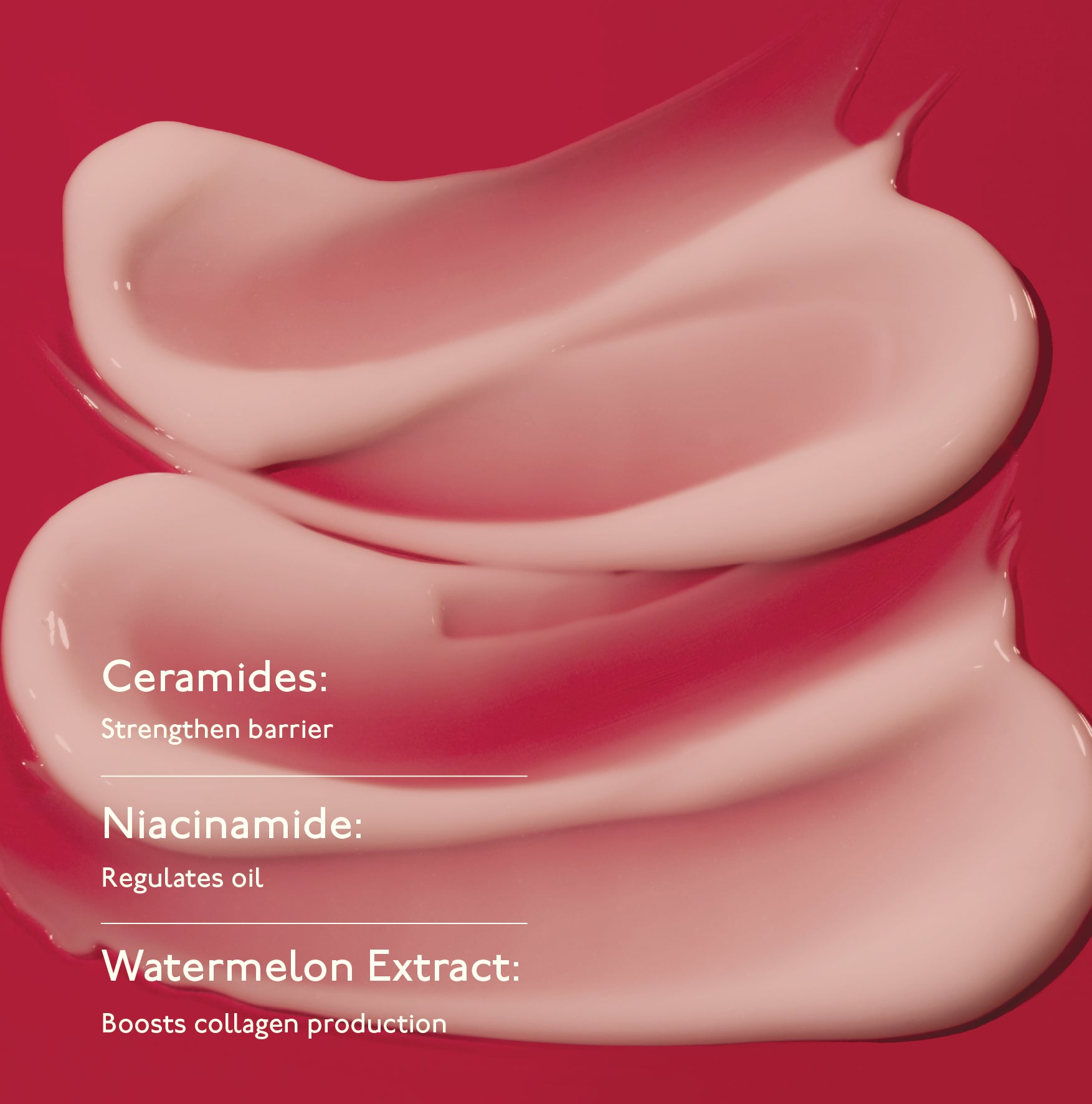 Moisture Cocoon Creme - Hydrating &amp; Glow Moisturizer with Niacinamide