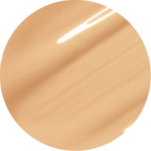 02 - Sea Shell